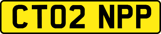 CT02NPP