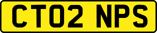 CT02NPS
