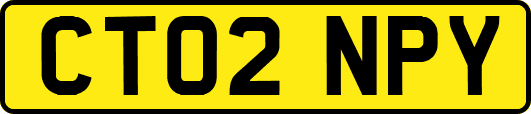 CT02NPY