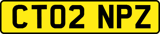CT02NPZ