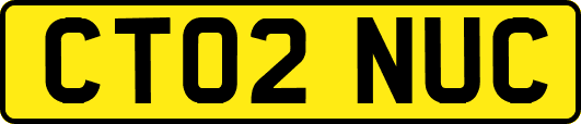 CT02NUC