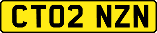 CT02NZN