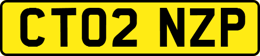 CT02NZP