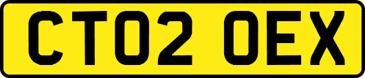 CT02OEX