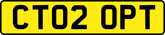 CT02OPT