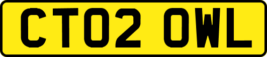 CT02OWL
