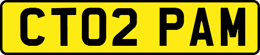 CT02PAM