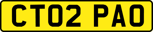CT02PAO