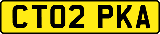 CT02PKA
