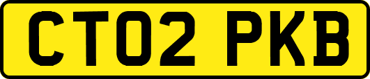 CT02PKB
