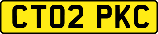 CT02PKC
