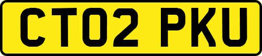 CT02PKU