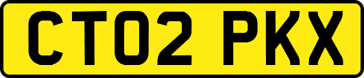 CT02PKX