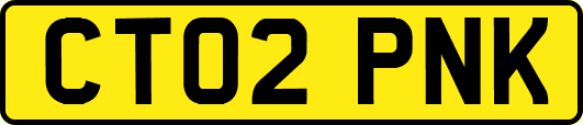 CT02PNK