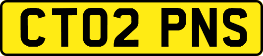 CT02PNS