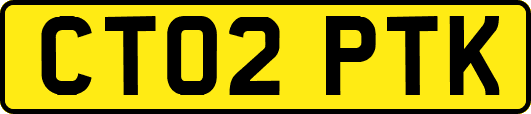 CT02PTK