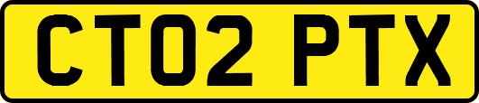 CT02PTX