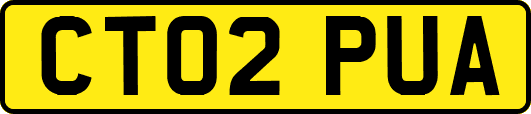 CT02PUA