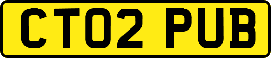 CT02PUB