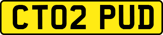 CT02PUD
