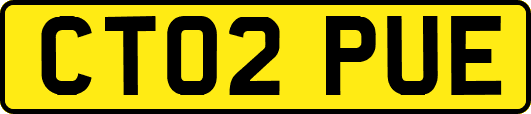 CT02PUE