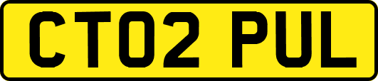 CT02PUL