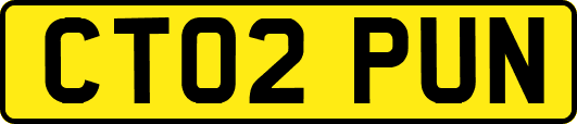 CT02PUN
