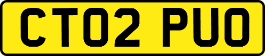 CT02PUO