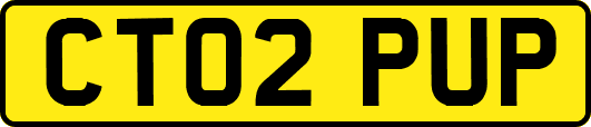 CT02PUP