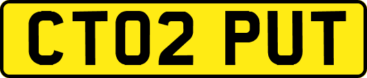 CT02PUT