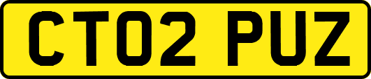 CT02PUZ