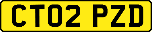 CT02PZD
