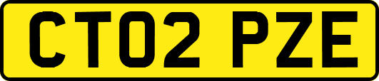 CT02PZE