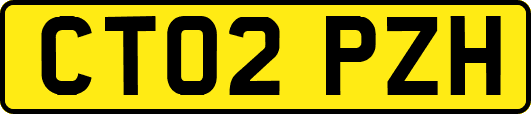 CT02PZH