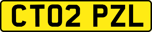 CT02PZL