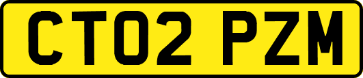 CT02PZM