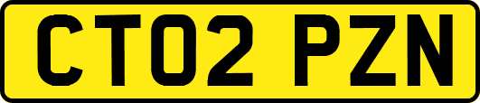 CT02PZN