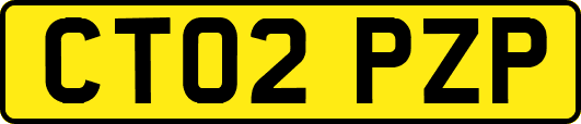 CT02PZP