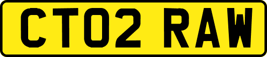 CT02RAW