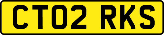 CT02RKS