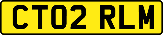 CT02RLM