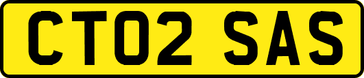 CT02SAS