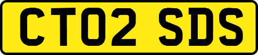CT02SDS