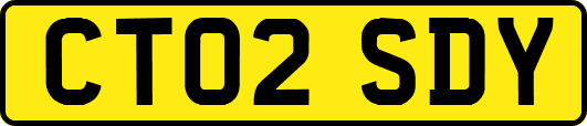 CT02SDY