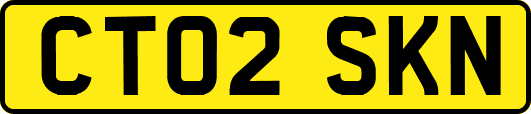 CT02SKN