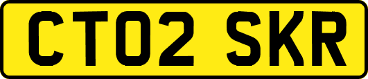CT02SKR