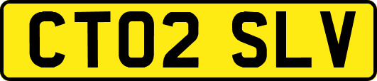 CT02SLV