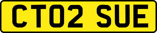CT02SUE