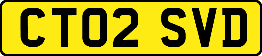 CT02SVD