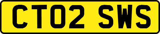 CT02SWS